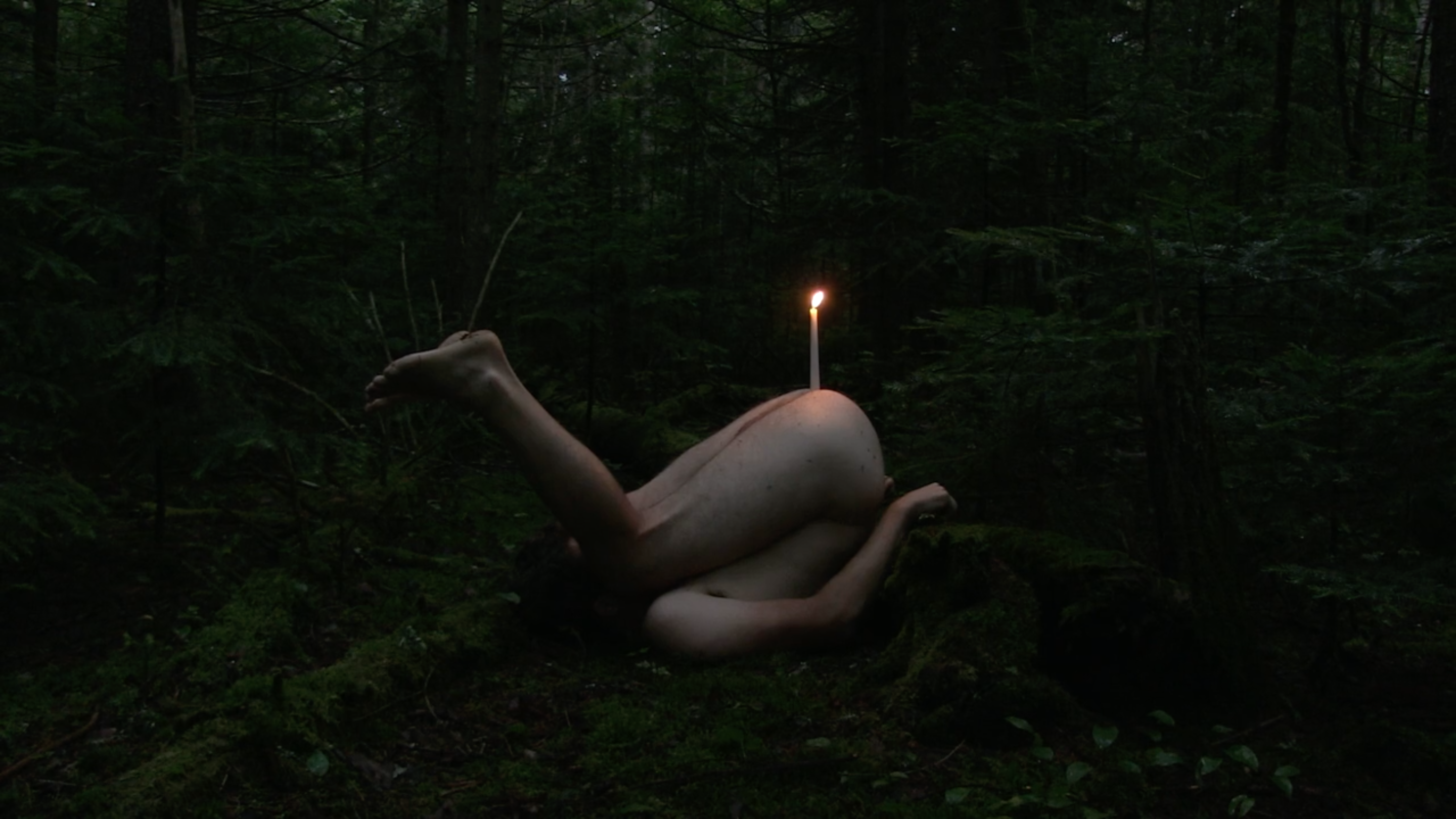 Performance Garten 8